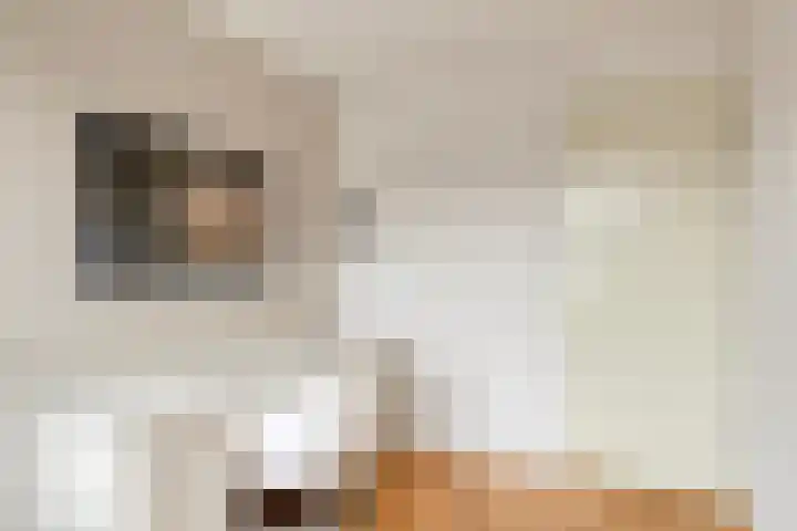 Koningsholster 74 Beek thumbnail 22