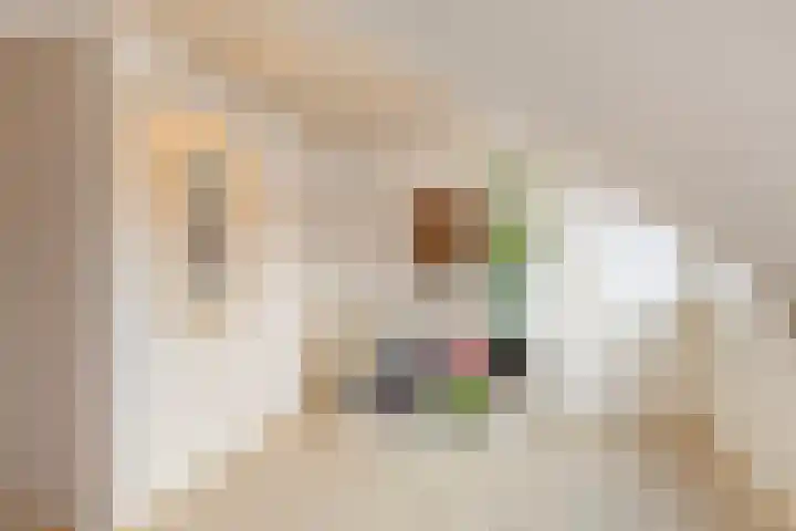 Koningsholster 74 Beek thumbnail 31