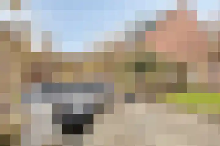 Koningsholster 74 Beek thumbnail 36