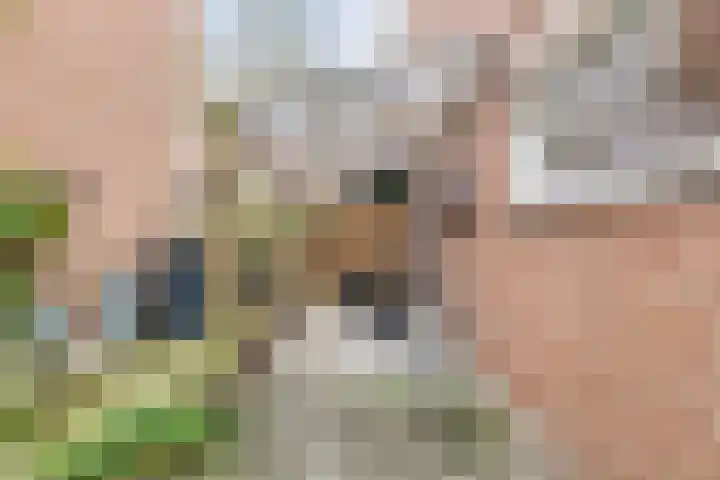 Koningsholster 74 Beek thumbnail 38