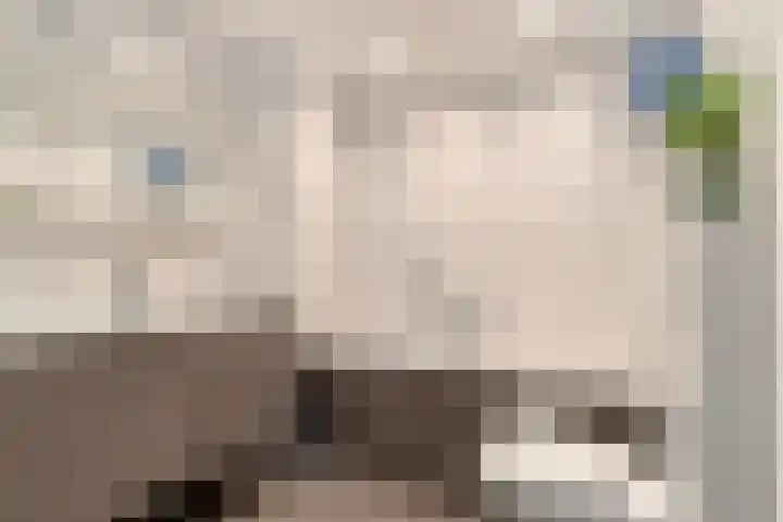 Koningsholster 74 Beek thumbnail 4