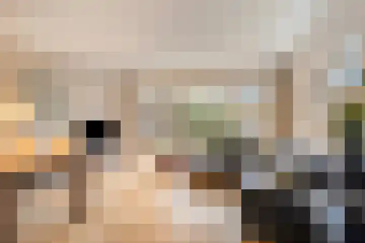 Koningsholster 74 Beek thumbnail 6
