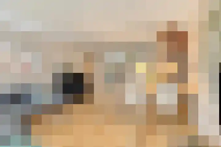 Koningsholster 74 Beek thumbnail 7