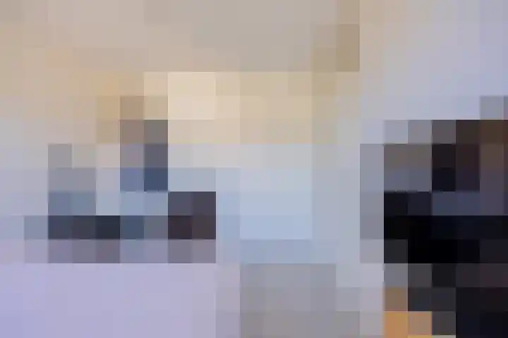 Koningsholster 83 Beek thumbnail 18