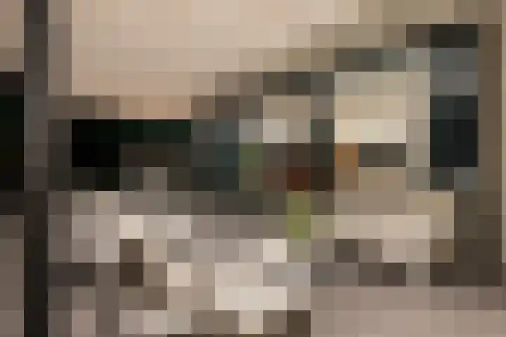 Koningskaars 20 Heerlen thumbnail 14