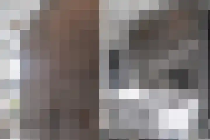 Koningskaars 20 Heerlen thumbnail 21