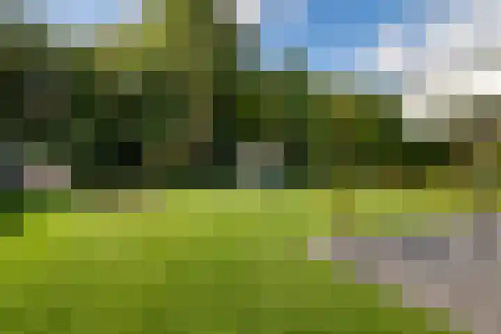 Koningskaars 20 Heerlen thumbnail 32