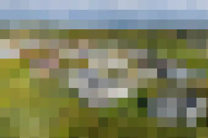 Koningskaars 20 Heerlen thumbnail 40