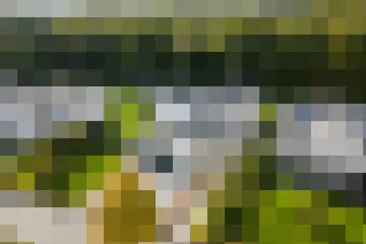 Koningskaars 20 Heerlen thumbnail 41