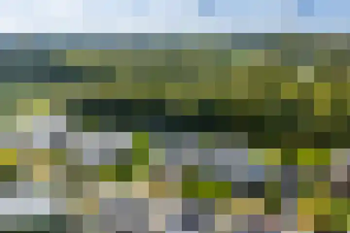 Koningskaars 20 Heerlen thumbnail 42