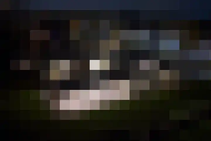 Koningskaars 20 Heerlen thumbnail 43