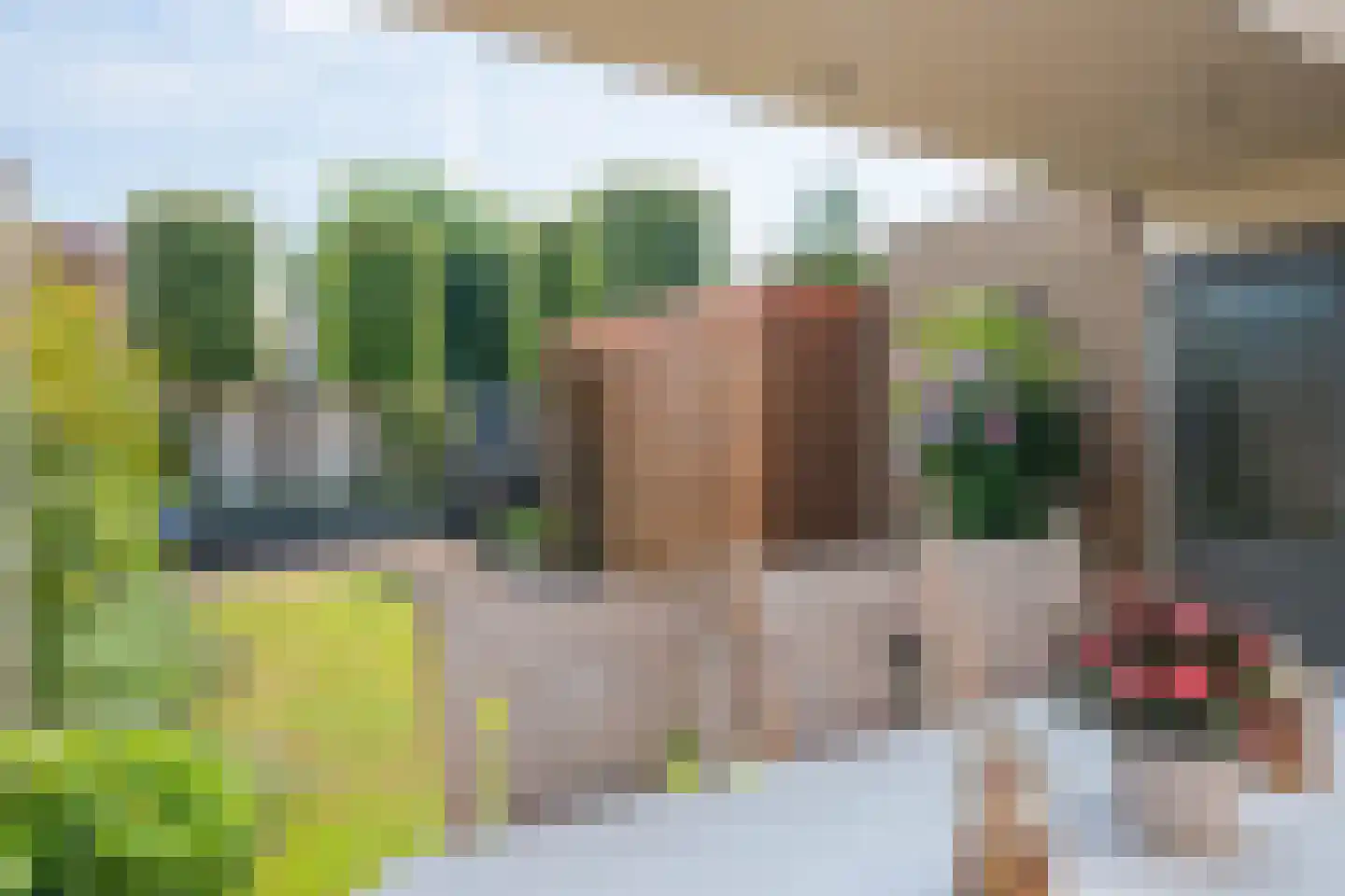 Koningskaars 30 Venray thumbnail 32