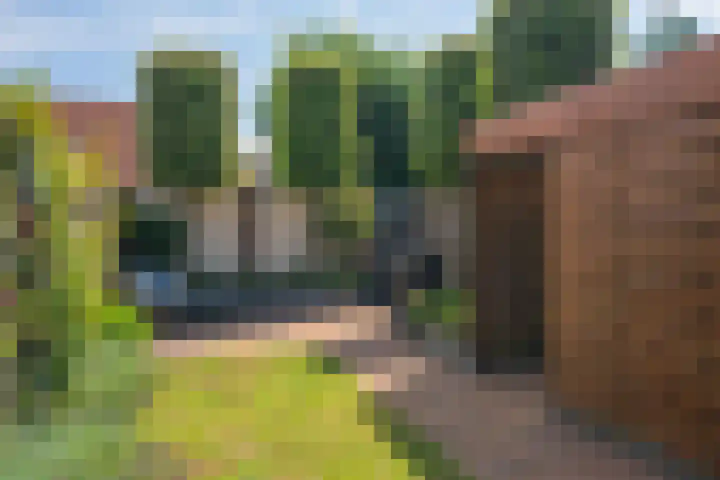 Koningskaars 30 Venray thumbnail 34