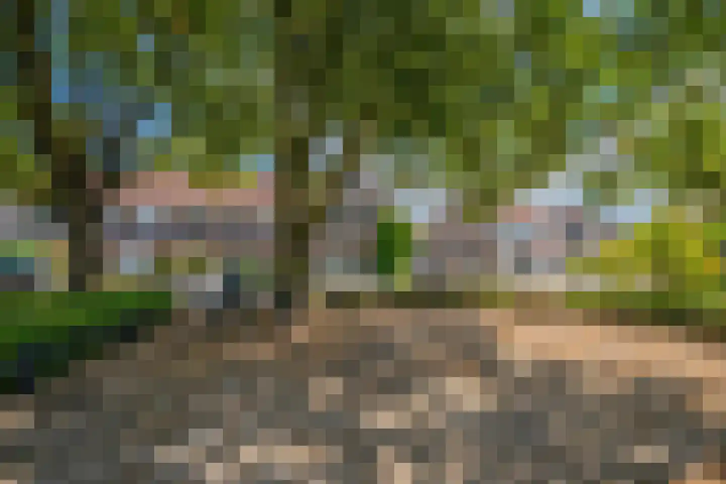 Koningskaars 30 Venray thumbnail 41