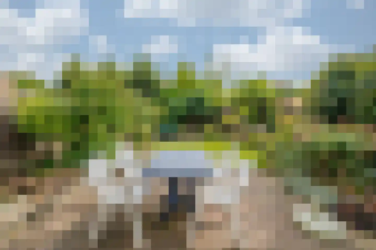 Koningskaars 36 Venray thumbnail 30