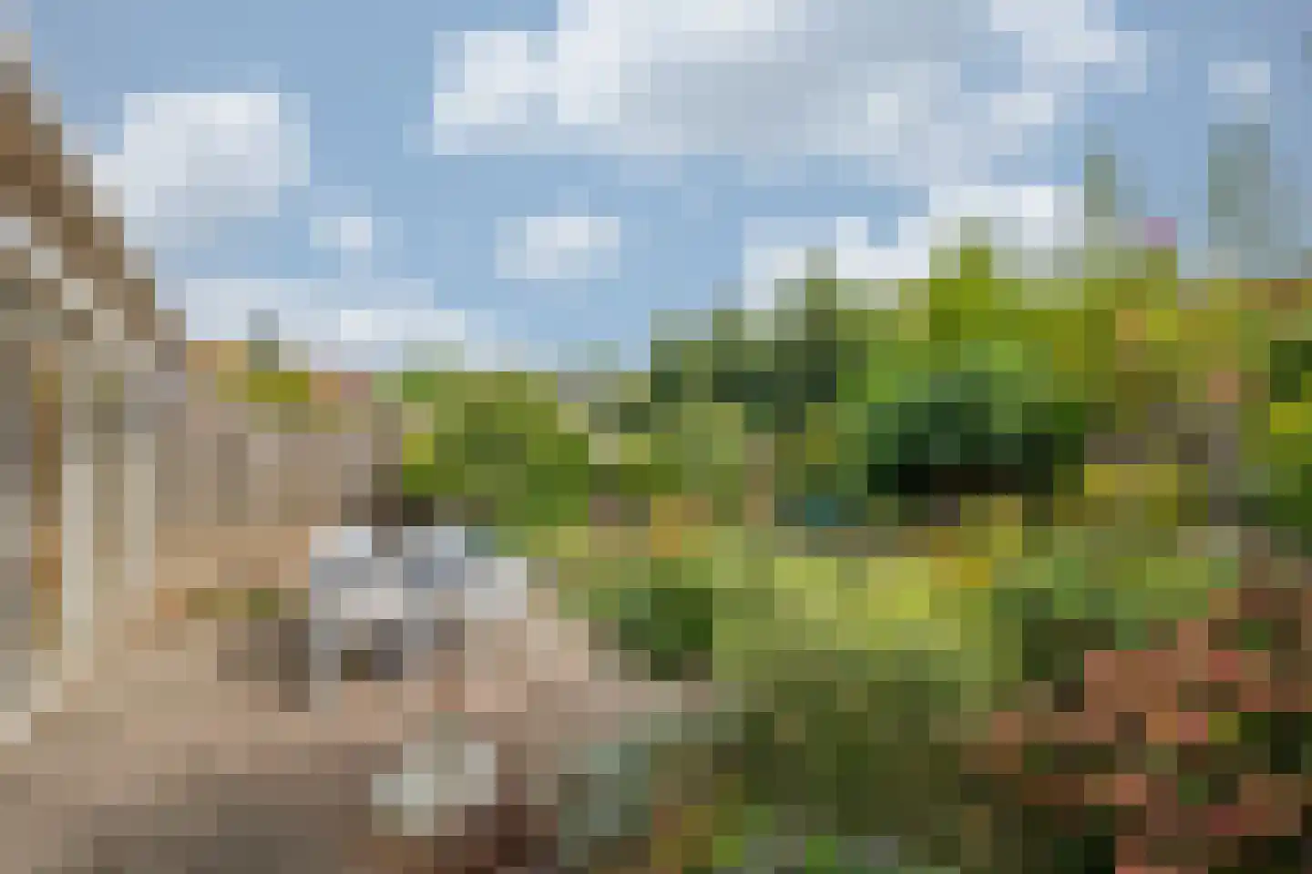 Koningskaars 36 Venray thumbnail 31
