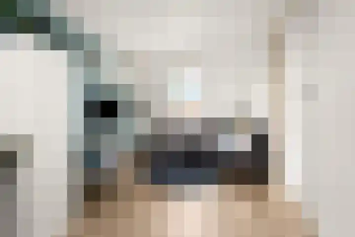 Koningskampstraat 17 Zevenaar thumbnail 31