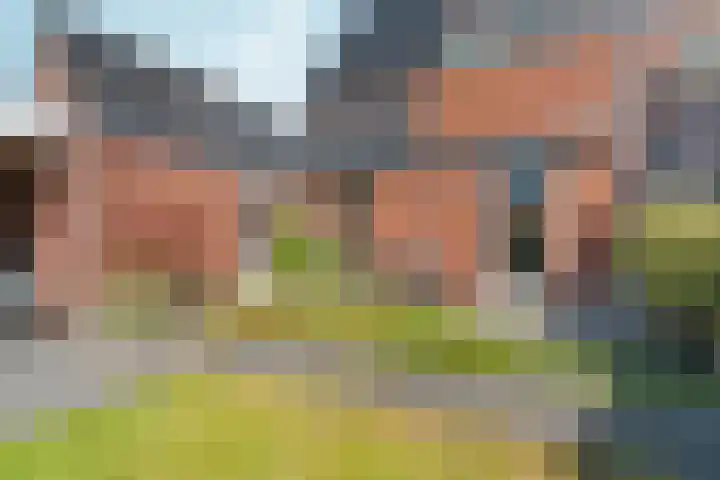 Koningskampstraat 17 Zevenaar thumbnail 36