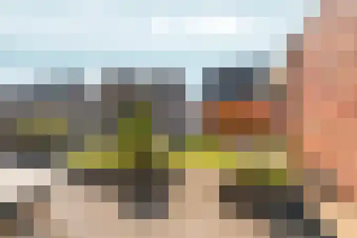 Koningskampstraat 17 Zevenaar thumbnail 39