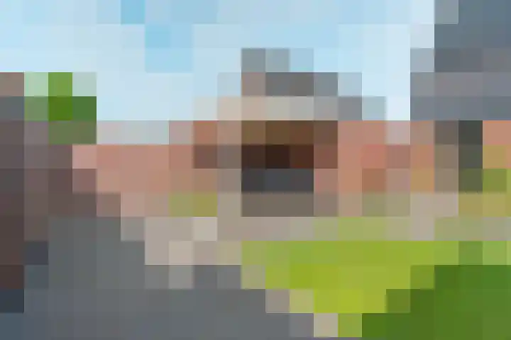 Koningskampstraat 17 Zevenaar thumbnail 5