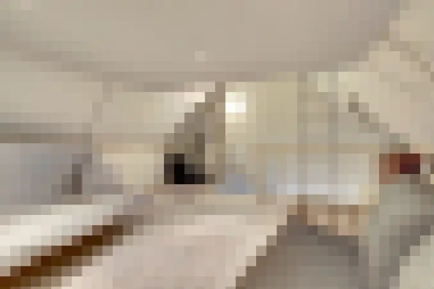 Koningskampstraat 5 Zevenaar thumbnail 21
