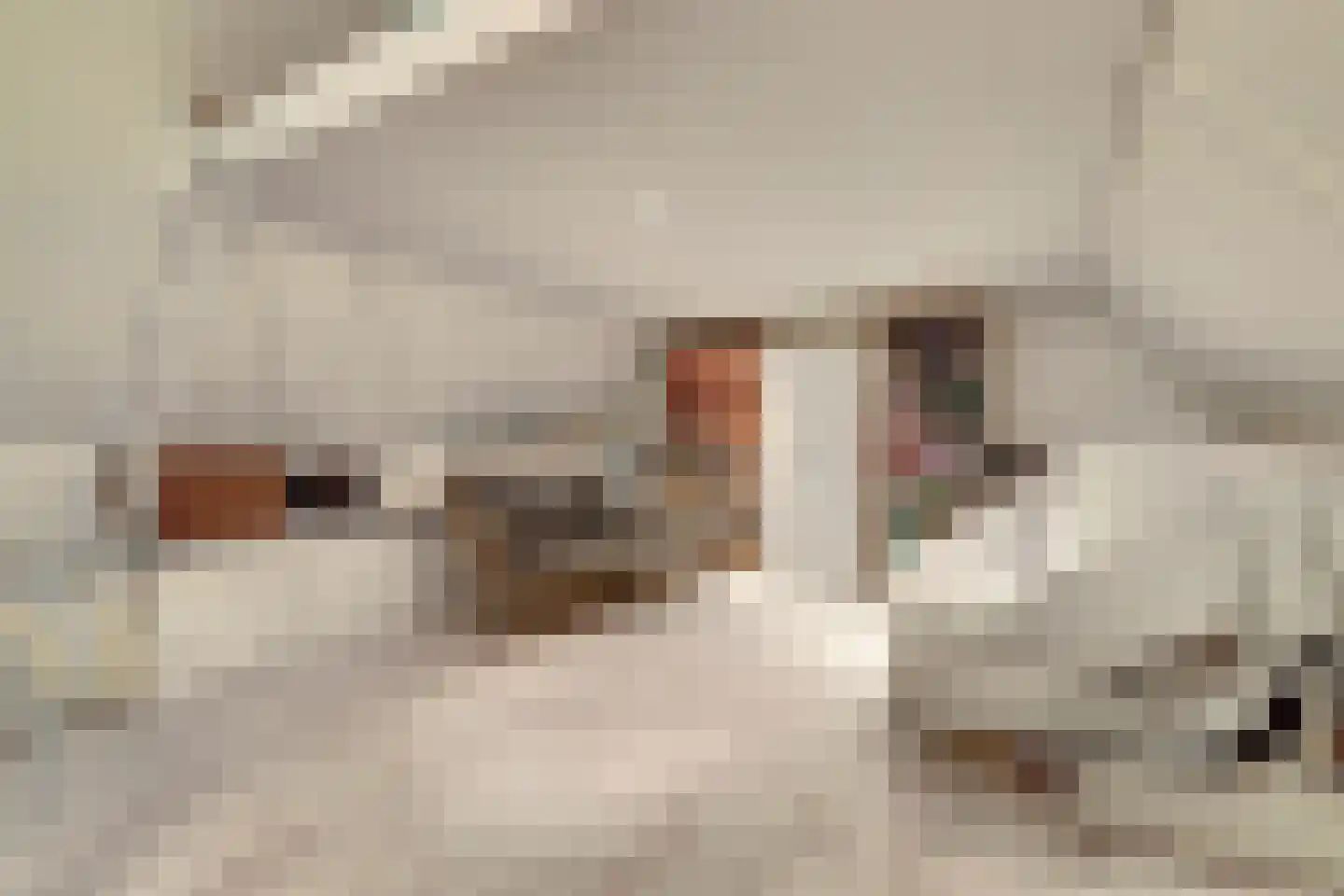 Koningskampstraat 5 Zevenaar thumbnail 22
