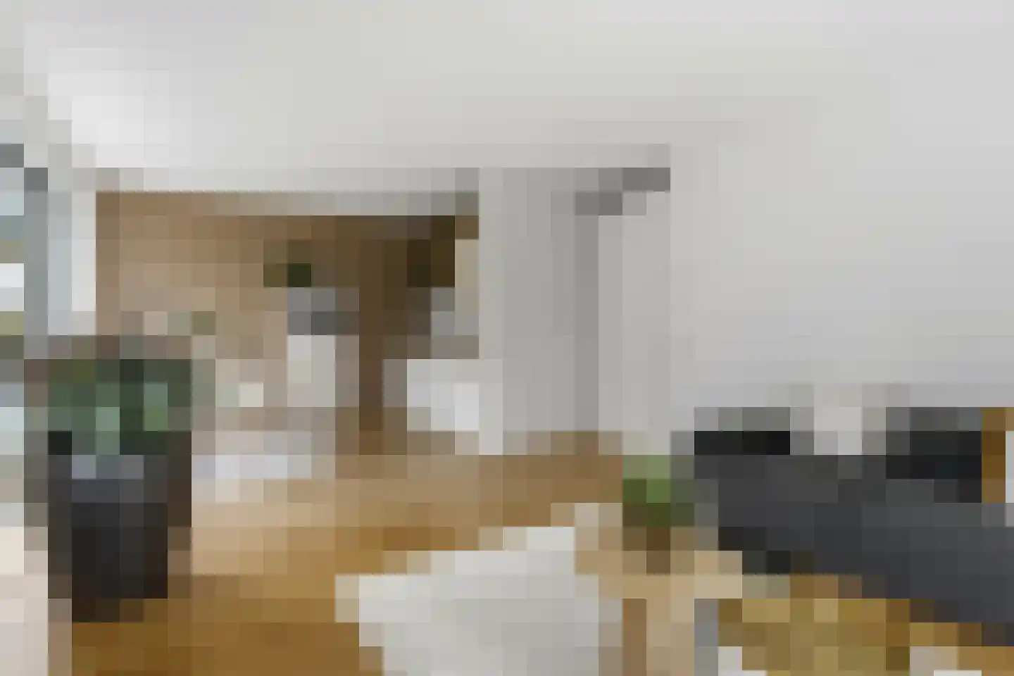 Koningskers 110 Arnhem thumbnail 11