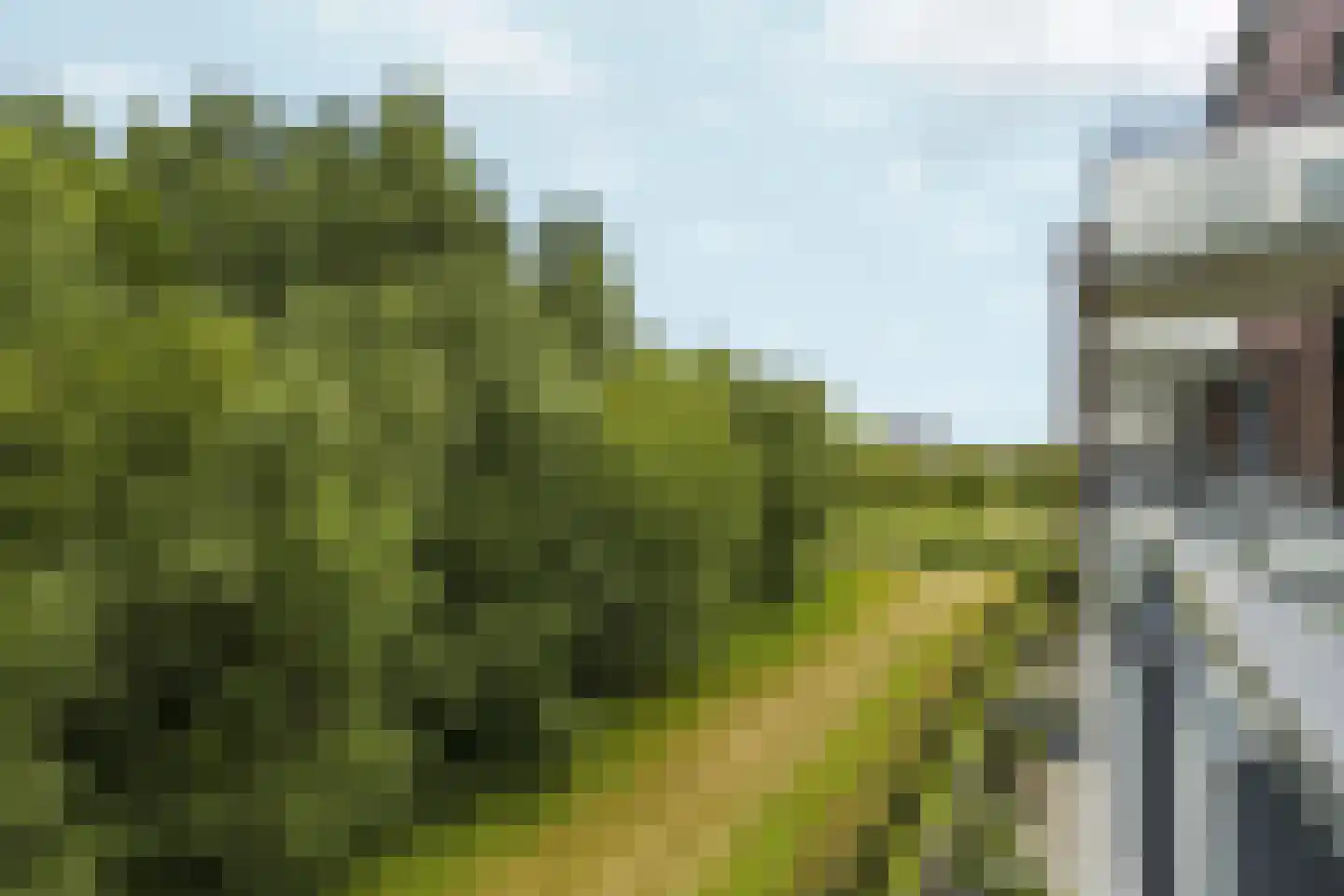 Koningskers 110 Arnhem thumbnail 19