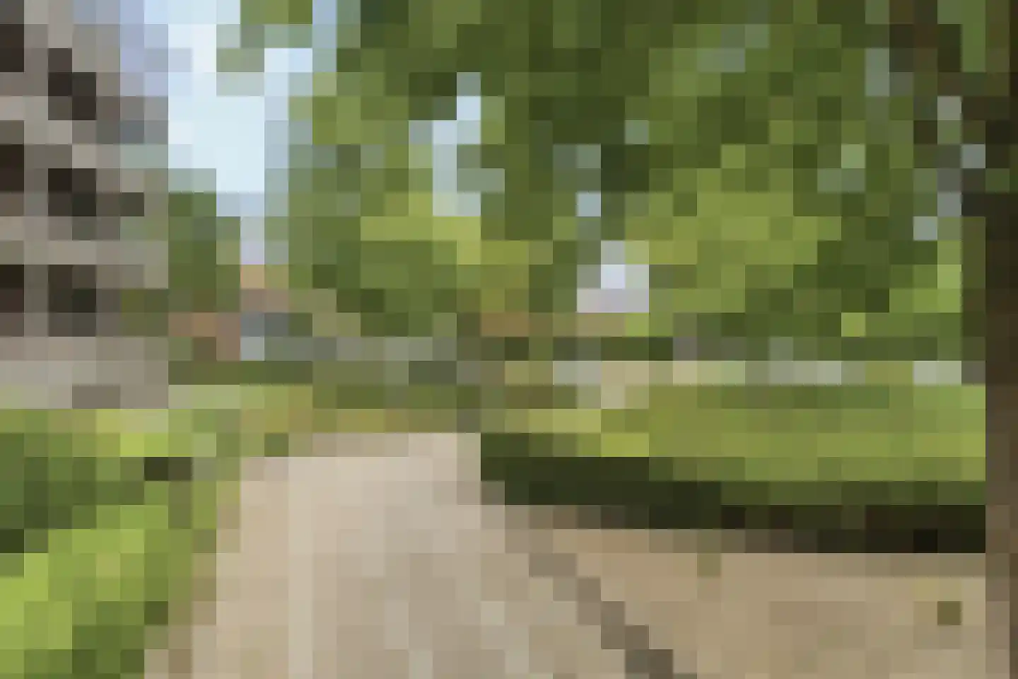 Koningskers 110 Arnhem thumbnail 30