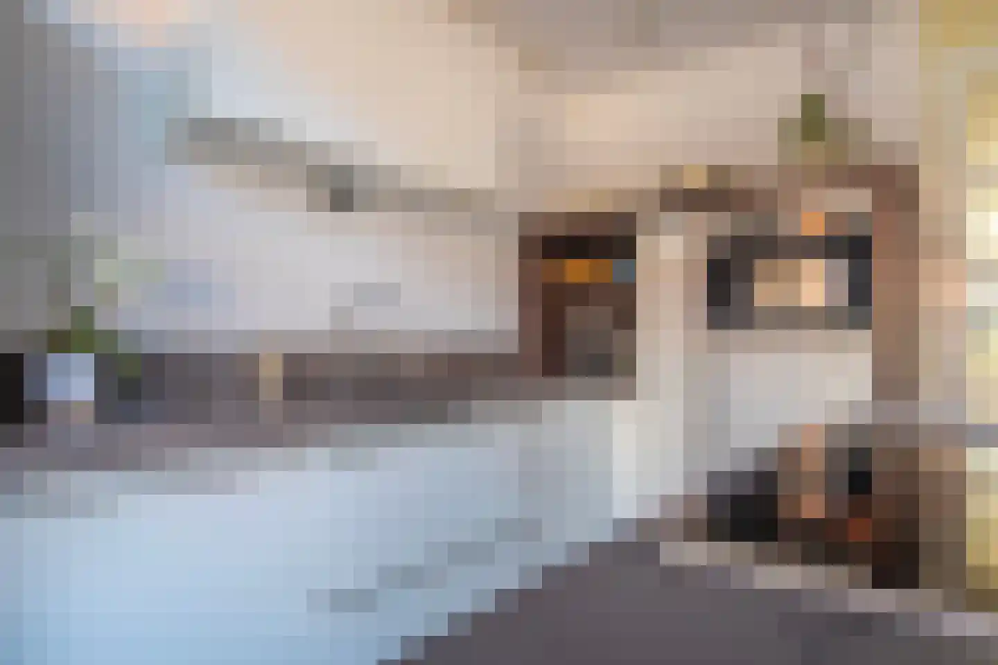 Koningskers 22 Arnhem thumbnail 15