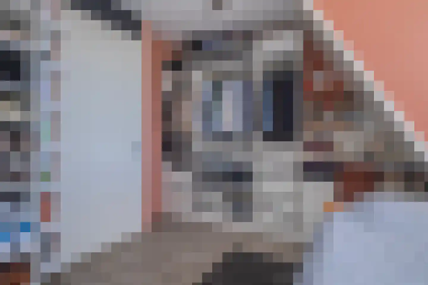 Koningskers 22 Arnhem thumbnail 19
