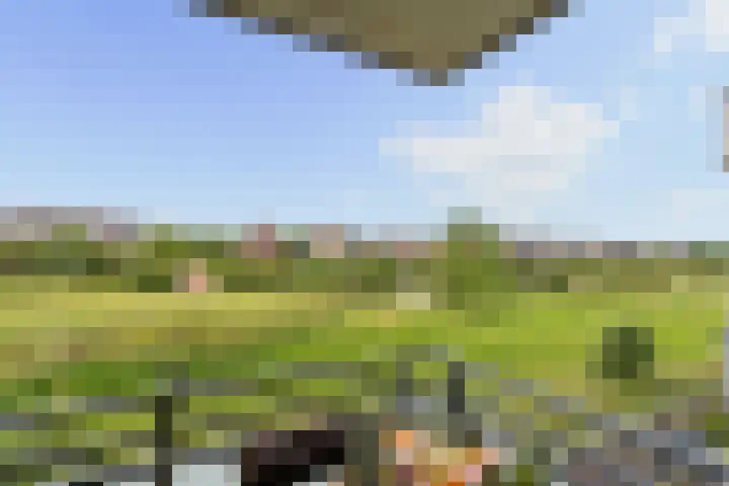 Koningskers 76 Arnhem thumbnail 12