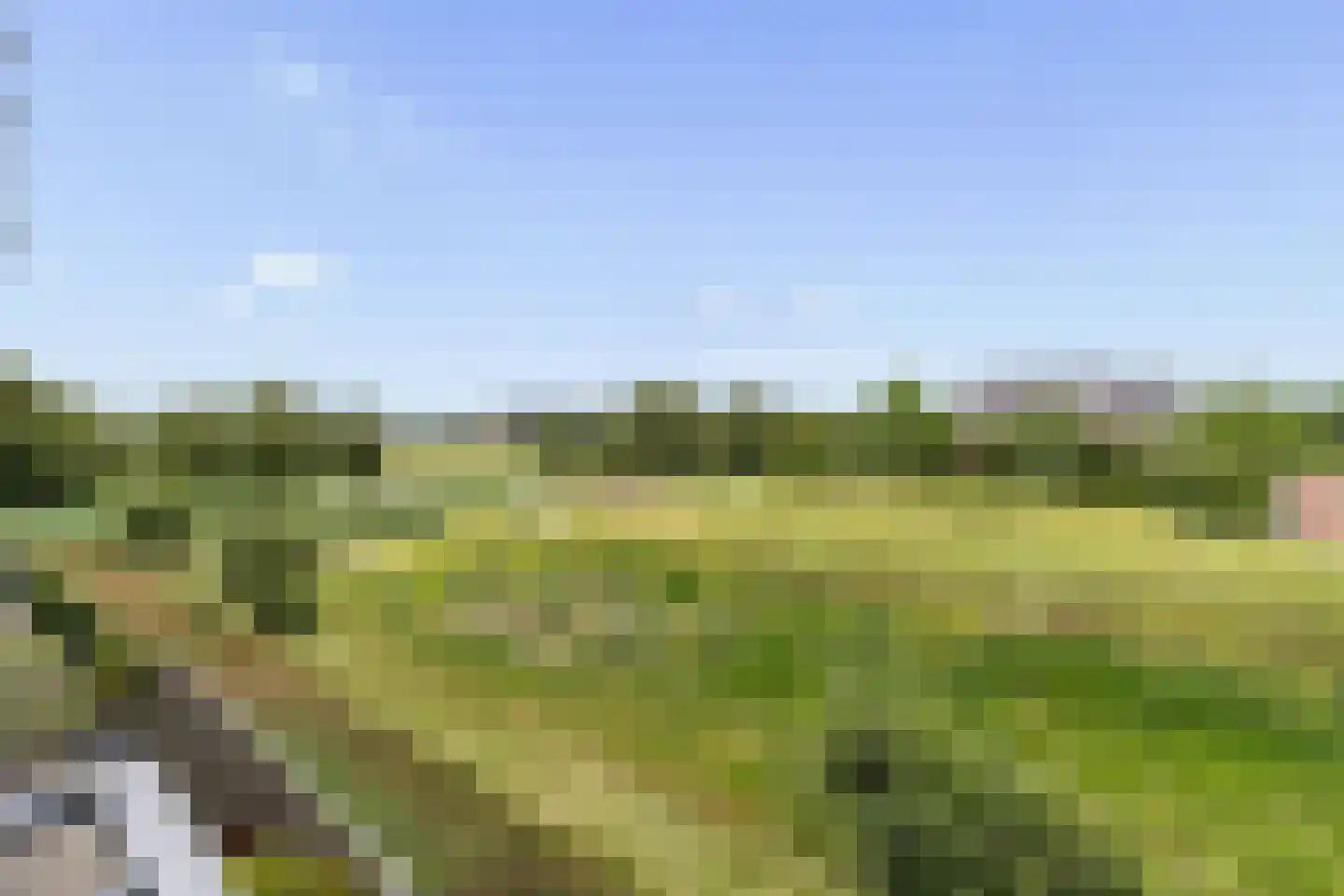 Koningskers 76 Arnhem thumbnail 13