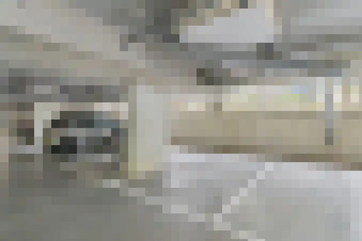 Koningskers 76 Arnhem thumbnail 22
