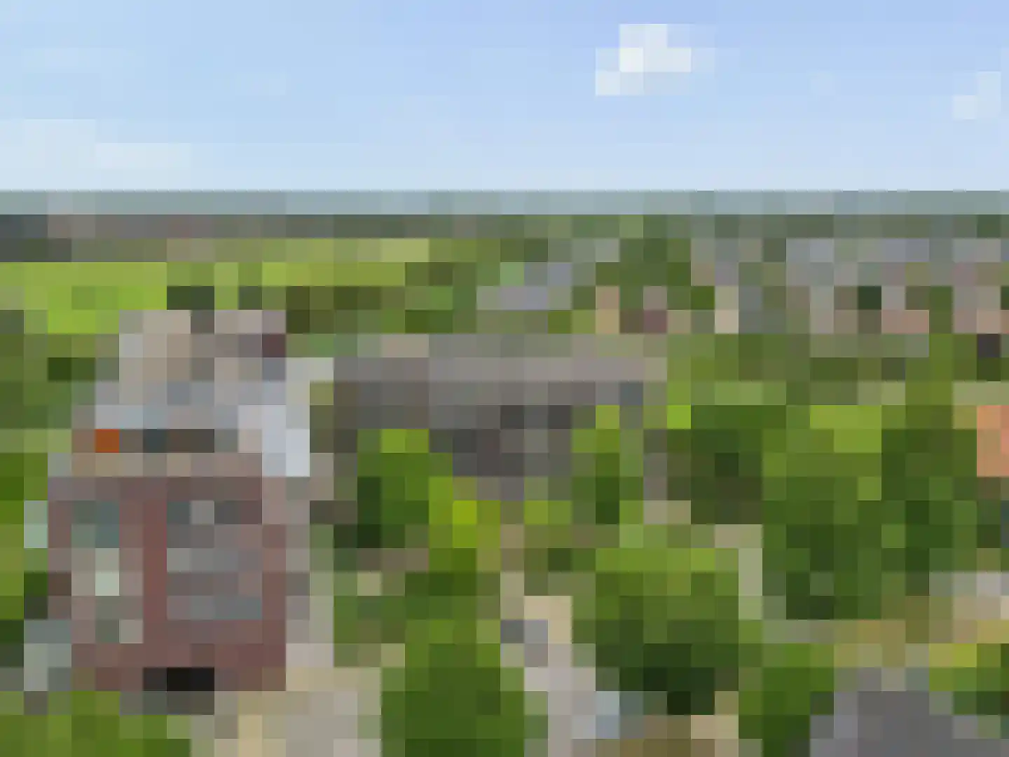 Koningskers 76 Arnhem thumbnail 26