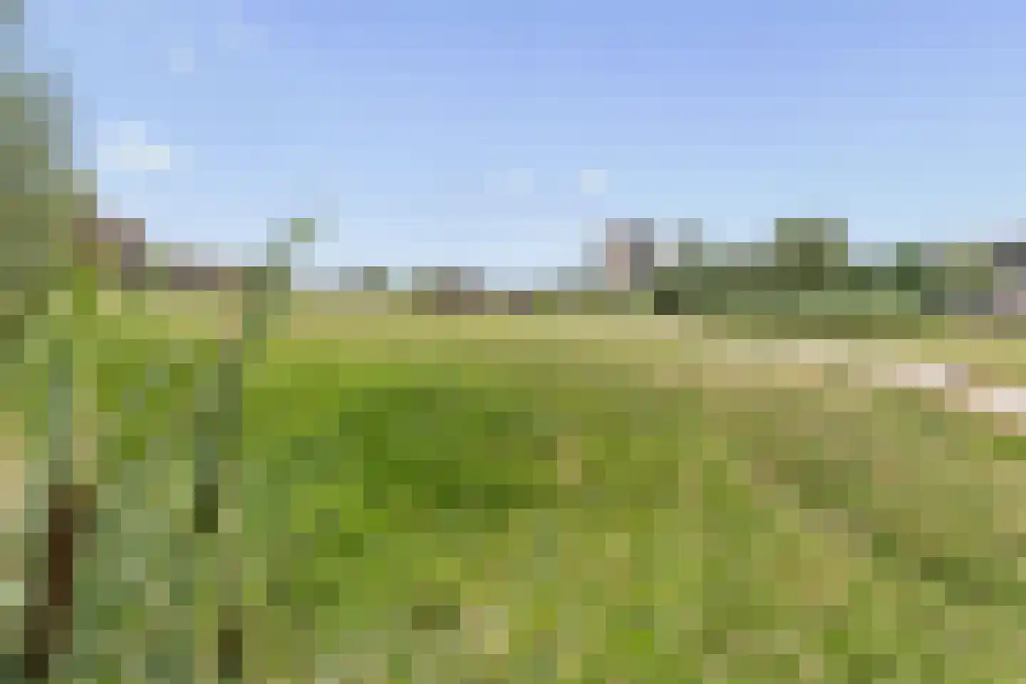Koningskers 76 Arnhem thumbnail 29
