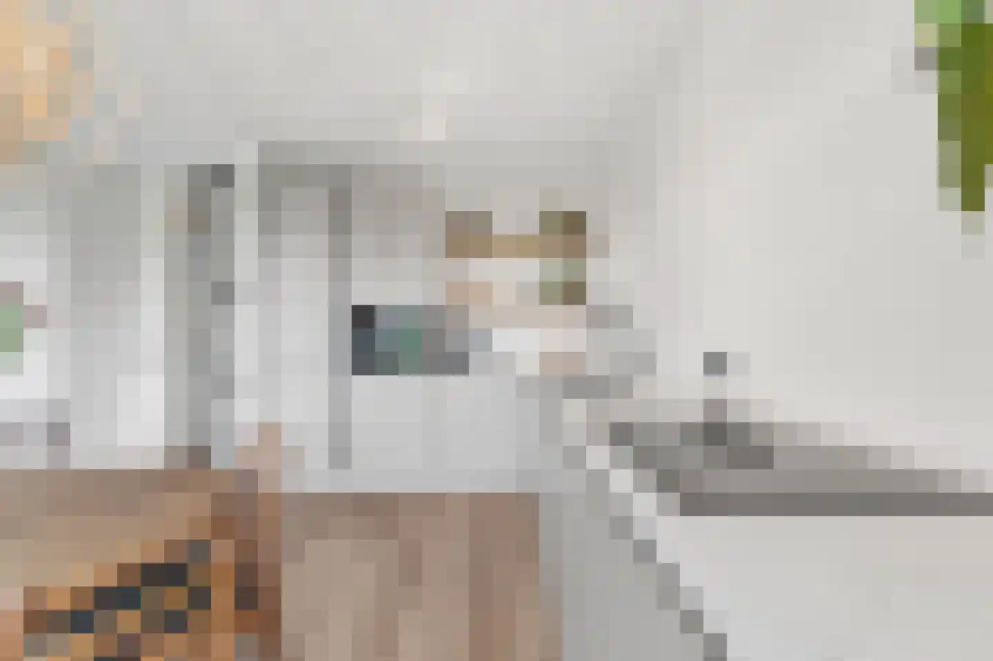 Koningskers 76 Arnhem thumbnail 4