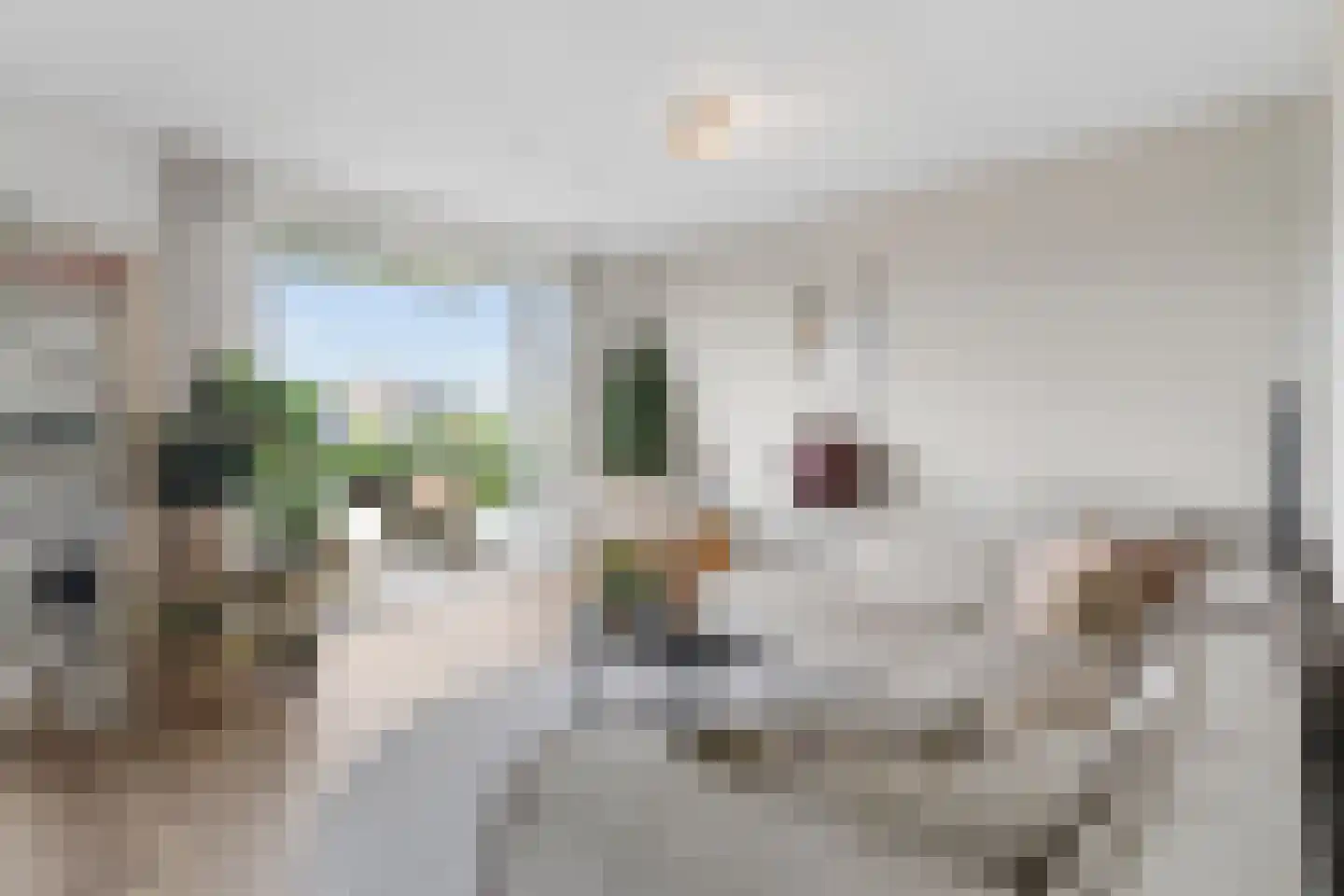 Koningskers 76 Arnhem thumbnail 9