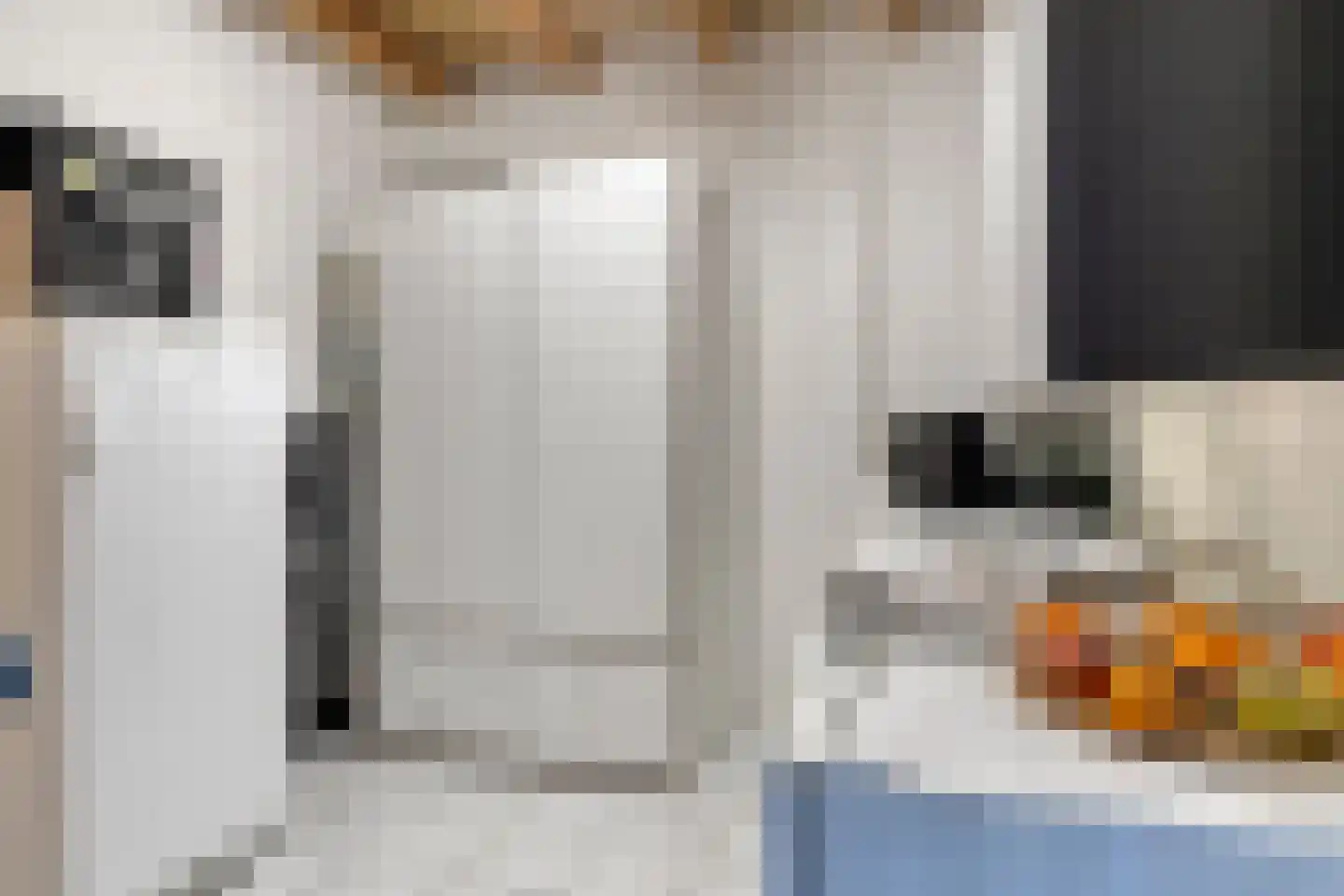 Koningskinderen 32 Eindhoven thumbnail 22