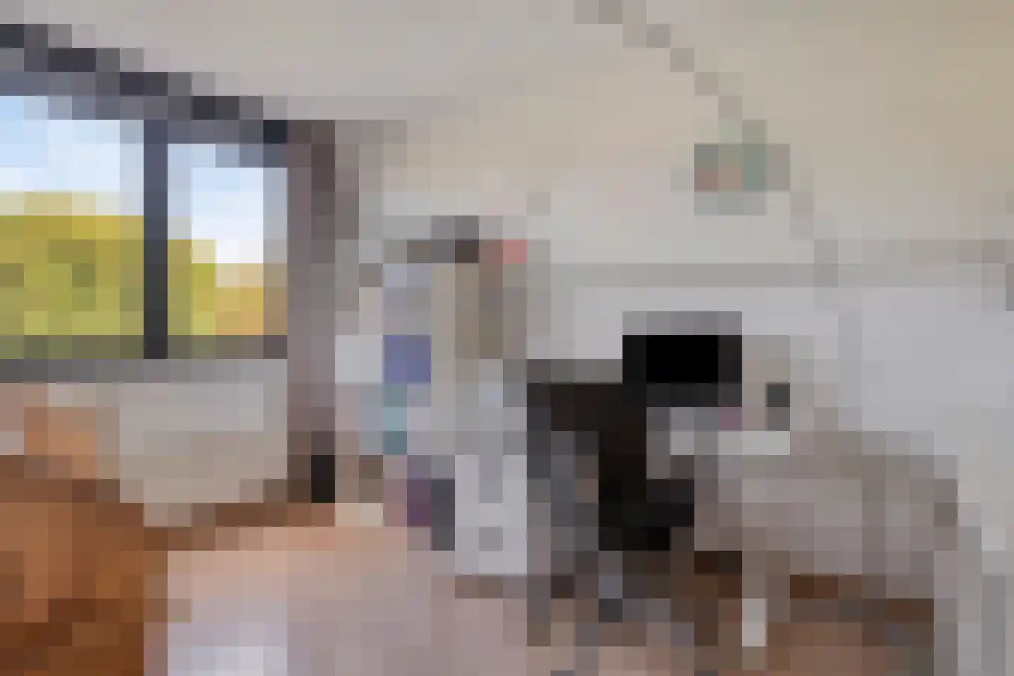 Koningskinderen 32 Eindhoven thumbnail 27