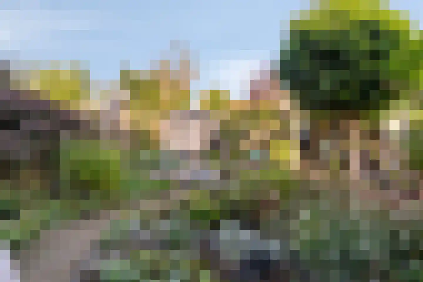 Koningskinderen 32 Eindhoven thumbnail 34