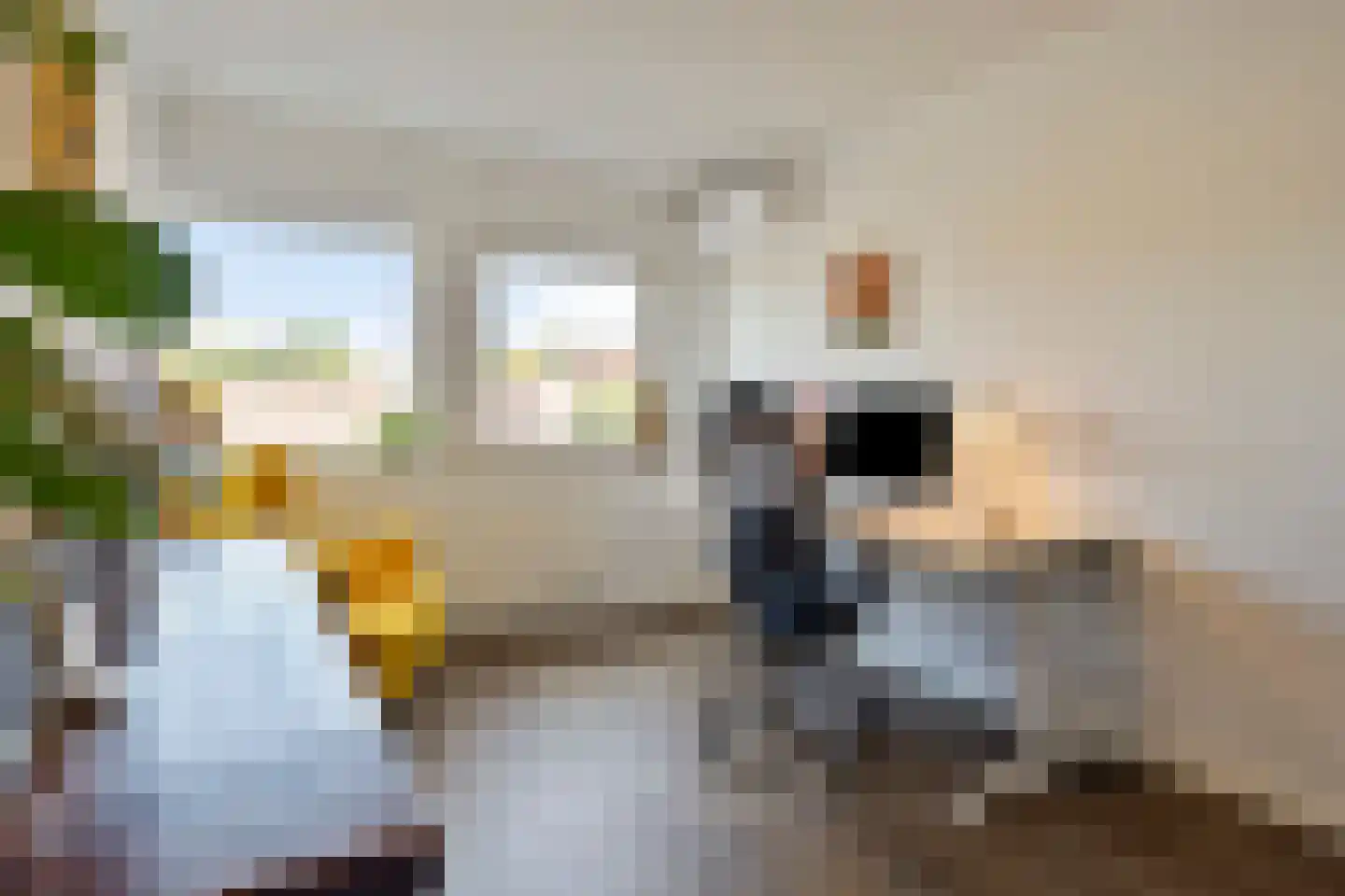 Koningskinderen 7 Eindhoven thumbnail 22