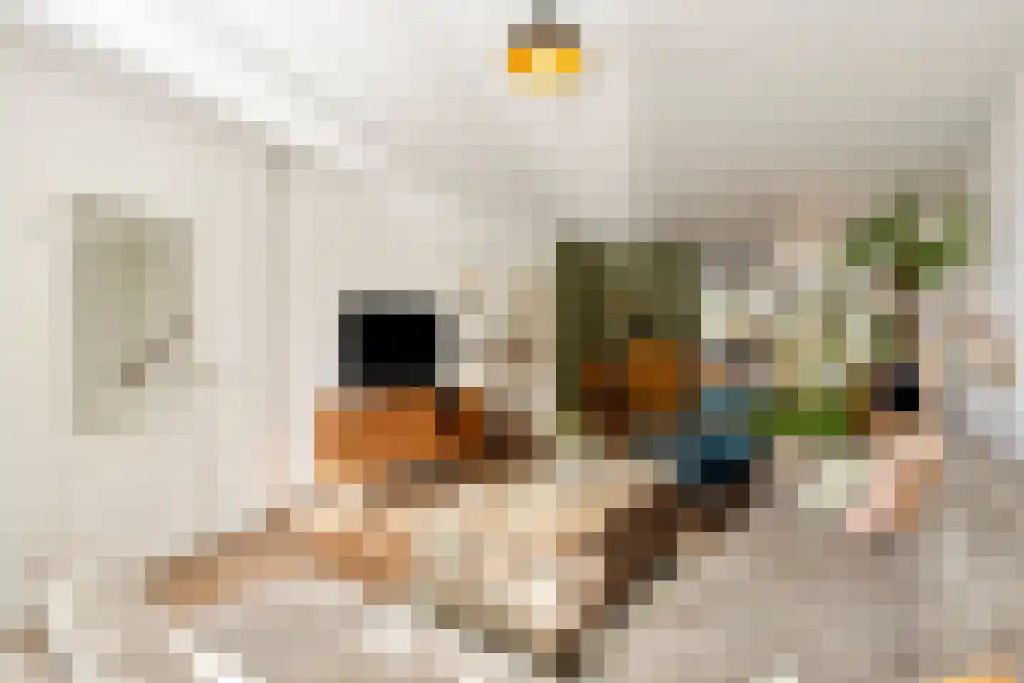 Koningskinderen 7 Eindhoven thumbnail 6