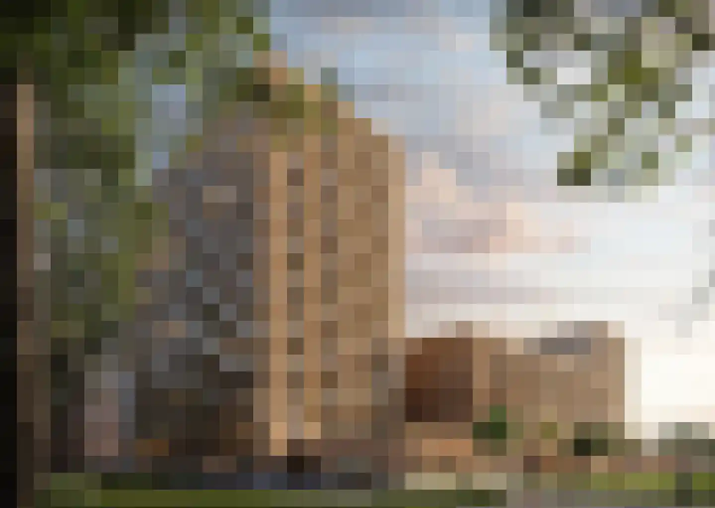 Koningslaan 111 C Rotterdam thumbnail 4
