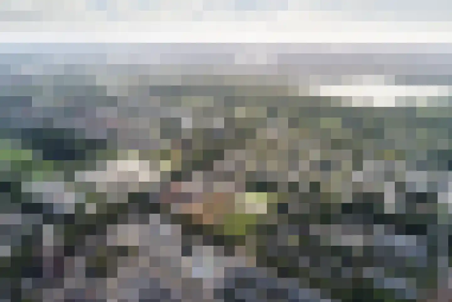 Koningslaan 113 C Rotterdam thumbnail 8
