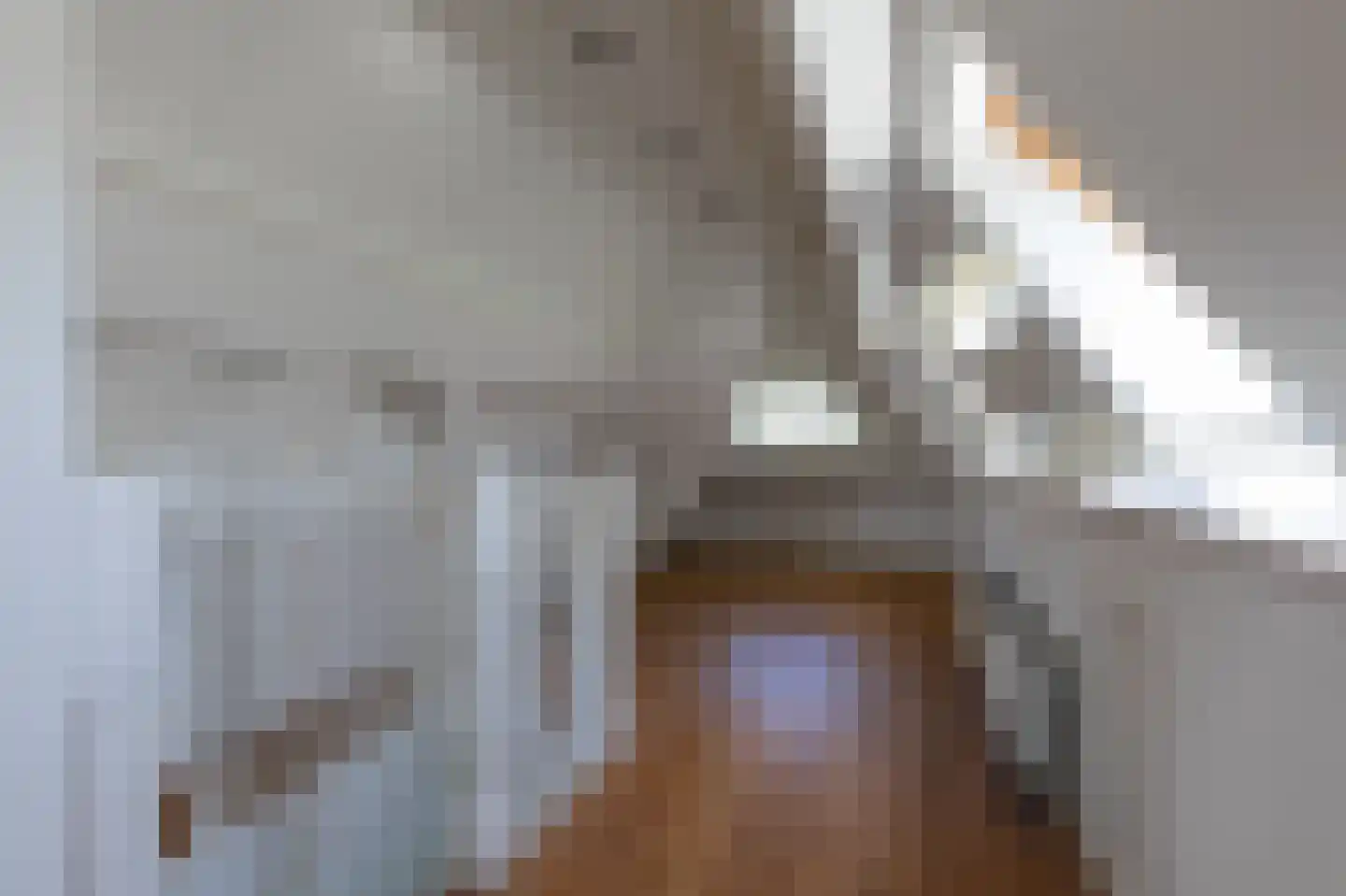 Koningslaan 15 Bussum thumbnail 34