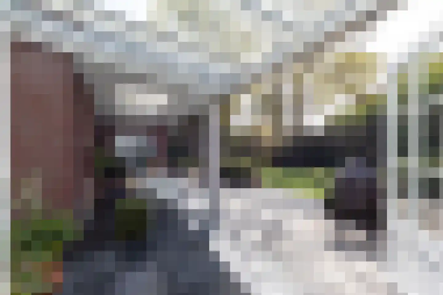 Koningslaan 15 Bussum thumbnail 54