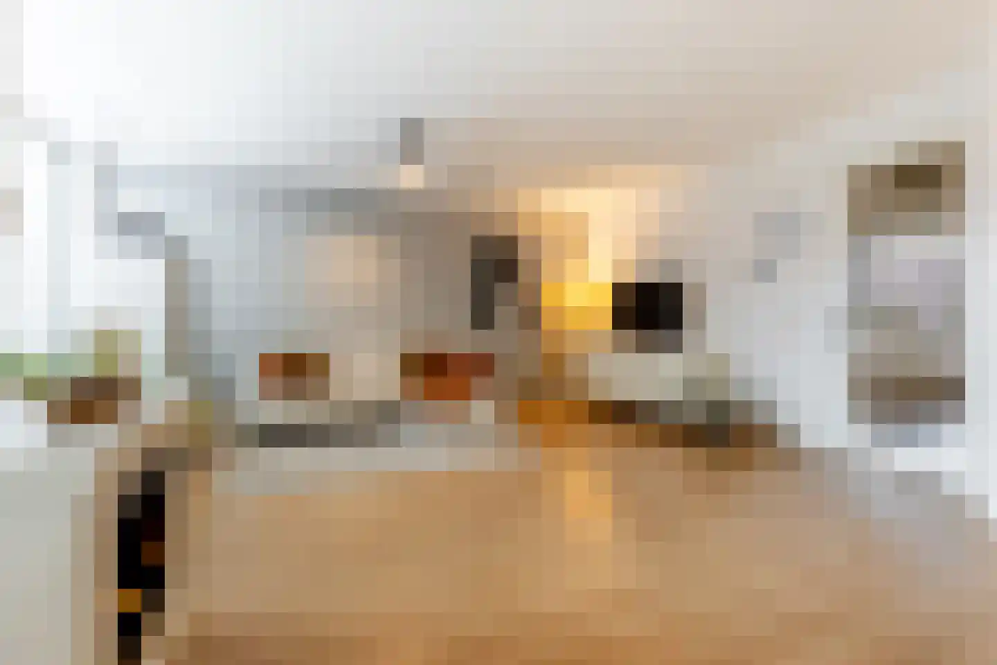 Koningslaan 207 Rotterdam thumbnail 10