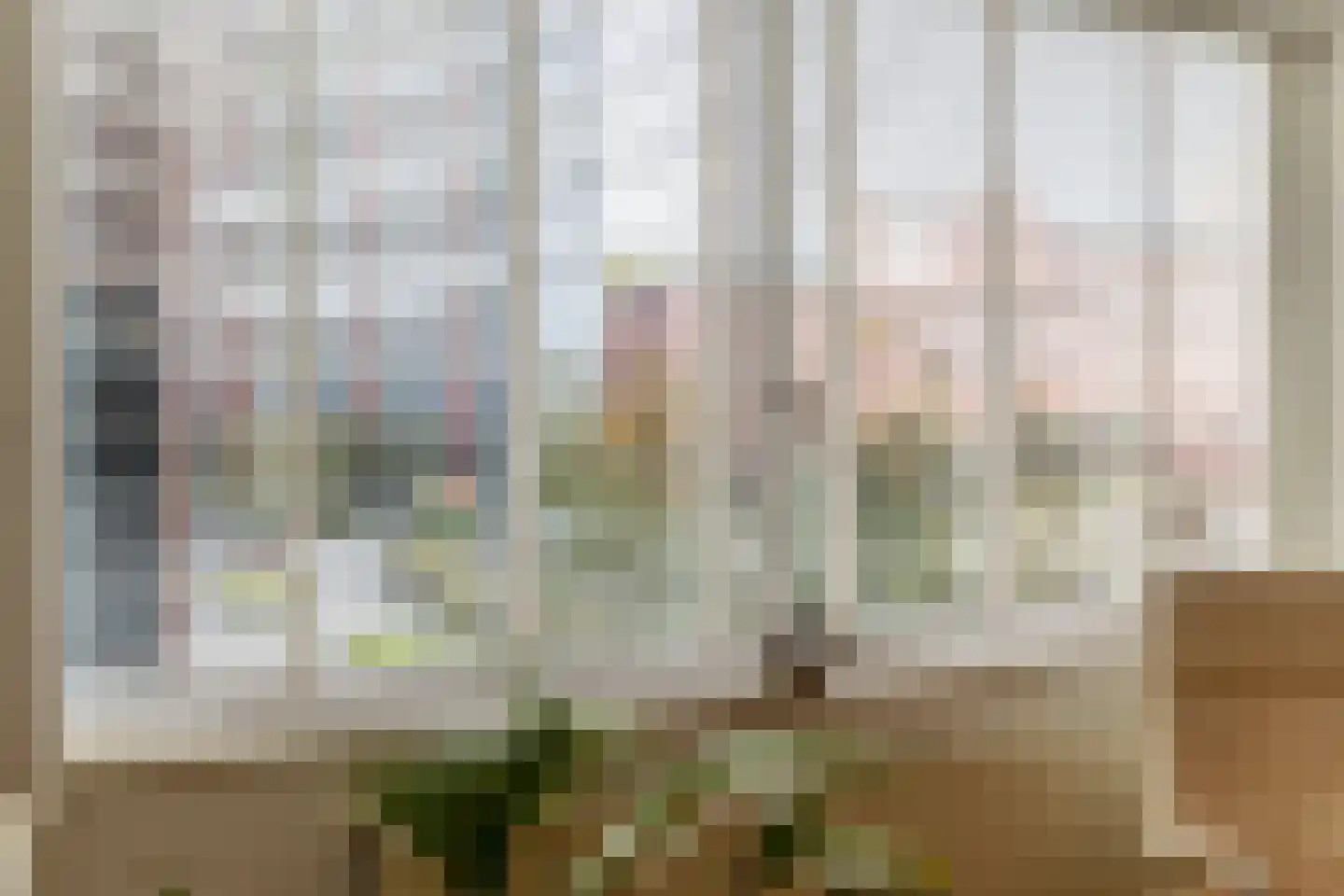Koningslaan 207 Rotterdam thumbnail 12