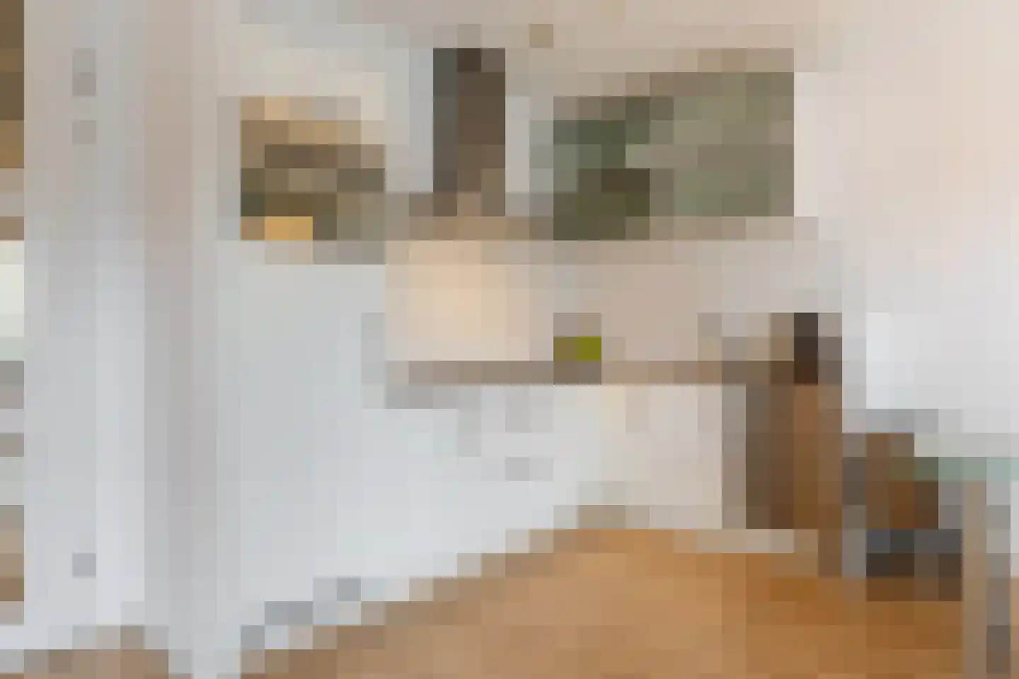 Koningslaan 207 Rotterdam thumbnail 15